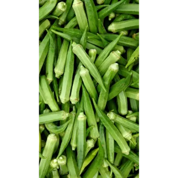 Lady Finger (26)-3383632-67817.webp
